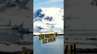 Commonwealth Bay Antarctica is the windiest place on Earth facts fact antarctica wind weather [upl. by Navis56]