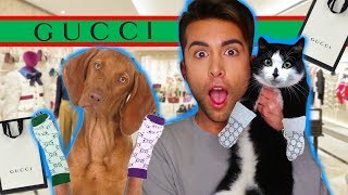 COME MOLESTARE GLI ANIMALI CON CALZINI DI GUCCI  GIANMARCO ZAGATO [upl. by Anirbaz136]