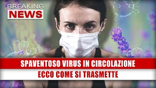 Spaventoso Virus In Circolazione Ecco Come Si Trasmette [upl. by Tirrej]