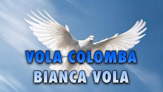 VOLA COLOMBA BIANCA VOLA REMIX 24 [upl. by Eelsew]