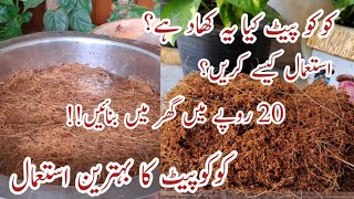 How to Make Cocopeat at Home  Cocopeat Banane ka Asaan Tarika  How to Use Cocopeat in Soil  RMG [upl. by Niven]