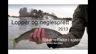 Sjøørretfiske i Sjøen  Lopper og neglesprett 2013 Med Eivind Berulfsen [upl. by Farmer381]