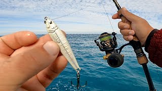 Going Old School  Jigging SPOON Lures For A Limit Of Reef Fish [upl. by Mills45]