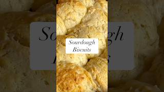 Long Fermented Sourdough Biscuits sourdough sourdoughdiscard sourdoughbaking [upl. by Ilojna]