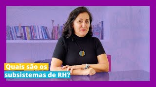 Quais são os subsistemas de RH [upl. by Ielerol]