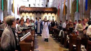 Choir with processional cross quotImmortal Invisible God Only Wisequot [upl. by Mikol]