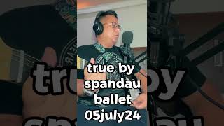 true by spandau ballet [upl. by Florie360]