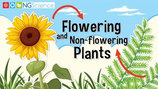 Flowering and Nonflowering Plants [upl. by Enahs468]