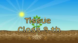 Tissue Class 9 One Shot With Notes [upl. by Enylhsa361]