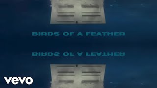 Yuki AsamiSan  BIRDS OF A FEATHER Official Lyric Video [upl. by Novyad]