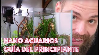 Nano acuarios 🐟 🌿 🦐 🐌 Guía del principiante [upl. by Giarg]