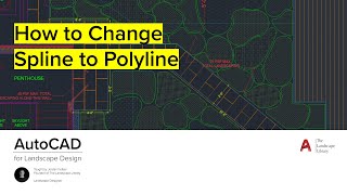 09 How to Change Spline to Polyline  AutoCAD for Landscape Design [upl. by Birck]