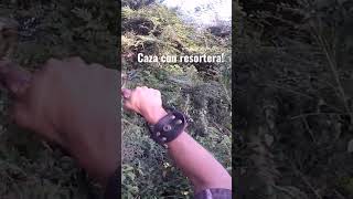 caza con resortera resortera hunting caza slingshot [upl. by Airdnahc]