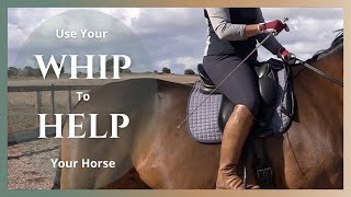 How To Use A Dressage Whip Correctly [upl. by Haydon]