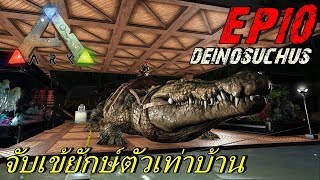 BGZ  ARK The Center 2018 EP10 จับเข้ยักษ์ตัวเท่าบ้าน Tame Deinosuchus [upl. by Ariuqahs]