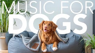 EXTRA LONG Dog Music Guaranteed to Help Your Dog Relax amp Sleep [upl. by Charley]