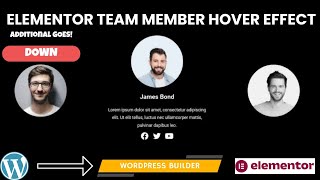 How to Create Elementor Custom Team Section  Additional Information Slide Down  WordPress Builder [upl. by Yaeger]