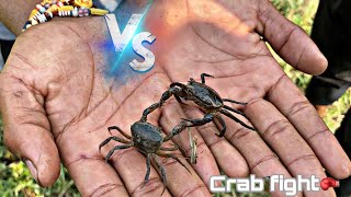 CRAB 🦀 fight😱🥊 [upl. by Nivat618]