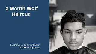 Barber Tutorial 60 Day Wolf Haircut [upl. by Ilwain496]