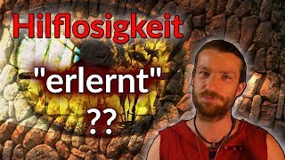 Was ist die quotErlernte Hilflosigkeitquot  Experiment nach Martin Seligman [upl. by Acina136]