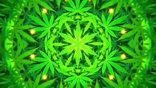 Bubatz LEGAL ✨ 420 Degrees of Weed Whispers 🥦 Das Hanf ist frei Gras Cannabis ✨ Weedmob Legalization [upl. by Jarnagin29]