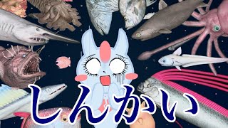 深海を探検！！深海魚を見つけちゃうよー！ [upl. by Eiramnna]