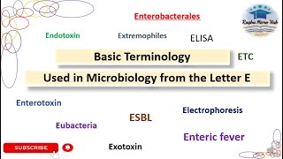 Basic terminology used in microbiology from Letter E raqbamicrohub laboratory microbiology [upl. by Lewes422]