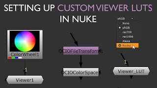 Setting up Custom Viewer LUTS in Nuke Alexa Example [upl. by Ayojal]