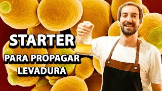 PROPAGACIÓN DE LEVADURA 🦠🧪 Cómo hacer un STARTER de LEVADURA líquida de CERVEZA 🍺 para reutilizarla [upl. by Chavaree]