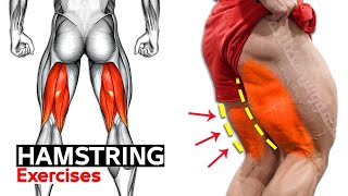 6 Easy Exercises Hamstring Workout  Leg Day 🚨🚨 [upl. by Haywood]