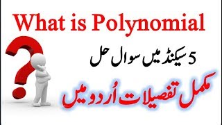 What is Polynomial in Urdu Math Solved Question by Knowledge Kings [upl. by Elephus]