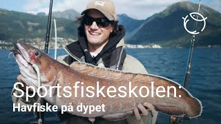 Havfiske på dypet [upl. by Leunas]