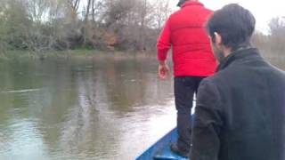 pesca de lampreia rio lima [upl. by Linzy]