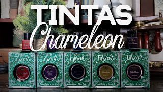 ✨ Probando tintas CHAMELEON Diamine para pluma fuente [upl. by Olnek]