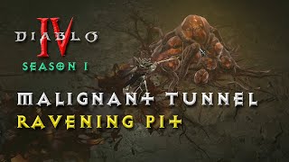 Diablo 4  Season 1 Malignant Tunnel Ravening Pit [upl. by Bottali]