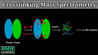 Crosslinking Mass Spectrometry  Protein Protein Interactions By Crosslinking Mass Spectrometry [upl. by Oelc]