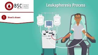 A Quick Look at Leukapheresis White Blood Cell Donation [upl. by Resor930]