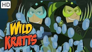 Wild Kratts ⭕🌊 Activate Deep Blue Water Powers  Kids Videos [upl. by Marras]