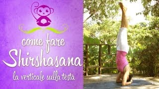 Yoga Come fare la verticale sulla testa  Shirshasana [upl. by Duester864]