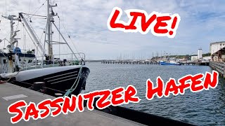 Magnetfischen im Sassnitzer Hafen LIVE mit MaScottchenampCo [upl. by Janeczka]