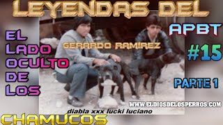 ⭐ LEYENDAS DEL APBT 15 ⭐ GERARDO RMZ⭐ EL LADO OCULTO DEL PITBULL CHAMUCO American Pit Bull Terrier [upl. by Itch]