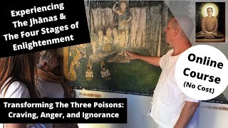 The Four Stages of Enlightenment Transforming The Three Poisons Craving Anger and Ignorance [upl. by Tshombe]