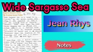 Wide Sargasso SeaJean RhyssummaryPost Colonial Literature [upl. by Kane]