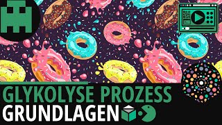 Glykolyse Prozess │Biologie Lernvideo Learning Level Up [upl. by Loella310]