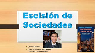 Escisión de Sociedades Total y Parcial  Cuadros de Escisión [upl. by Aicnom]