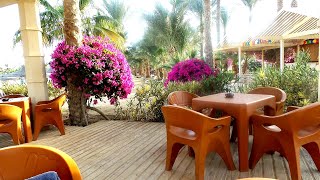 Brayka Bay Resort Marsa Alam im Januar 2019 [upl. by Ehtiaf]