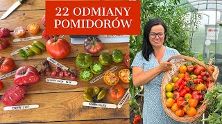 UPRAWA POMIDORÓW Pokazuję 22 odmiany Która najlepsza [upl. by Ykcin]