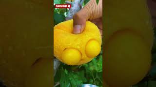 NatureLife 🥥🥑🍐🍊🍌🍋 286 shortvideo hadhikafa moodplay food foodshorts 004 india [upl. by Giacobo523]