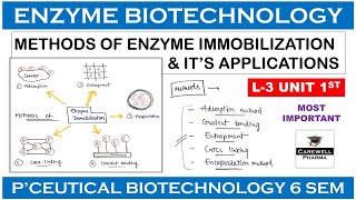 Methods Of Enzyme Immobilization  L3 U1  Pharmaceutical Biotechnology 6th sem [upl. by Lleval]