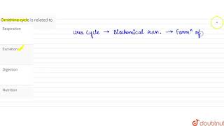 Ornithine cycle is related to [upl. by Jit]